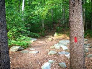 10502129_501887409958138_2377977136992679351_n